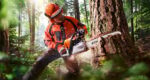Stihl Kettensäge MS 362 C-M VW – Bild 4