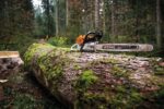 Stihl Kettensäge MS 500i W – Bild 6