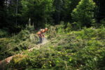 Stihl Kettensäge MS 362 C-M – Bild 6