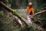 Stihl Kettensäge MS 500i W – Bild 4