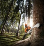Stihl Motorsäge MS 661 C-M W RS (71 cm) – Bild 7