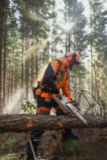 STIHL MSA 260 C-O W Akku-Motorsäge mit Griffheizung – Bild 6