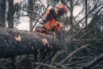 HUSQVARNA 585 Benzin-Kettensäge, 60cm – Bild 2