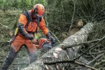 HUSQVARNA 550 XP Mark II Benzin-Kettensäge, 45cm – Bild 6