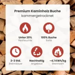 LKW Ladung Kaminholz Buche – Bild 2