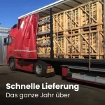 LKW Ladung Kaminholz Birke – Bild 6