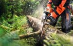 STIHL Benzin-Kettensäge STIHL MS 362 C-M, 40cm Schienenlänge – Bild 3