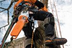 STIHL Benzin-Kettensäge MS 201 T, 30cm Schienenlänge – Bild 3