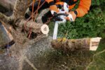 STIHL Benzin-Kettensäge MS 201 T, 30cm Schienenlänge – Bild 4